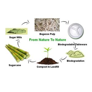 Bio tableware ຈະ​ຖືກ​ນໍາ​ໃຊ້​ຢ່າງ​ກວ້າງ​ຂວາງ​ໃນ​ຊີ​ວິດ​ປະ​ຈໍາ​ວັນ​ຂອງ​ພວກ​ເຮົາ​