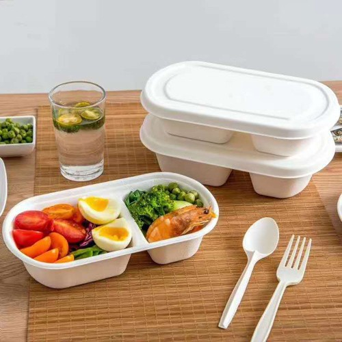 ຜະ​ລິດ​ຕະ​ພັນ bagasse ອ້ອຍ​