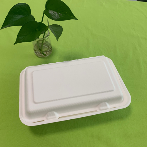 ບັນຈຸອາຫານ bagasse ໃຫມ່