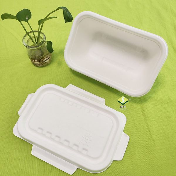 ພາຊະນະ bagasse ແມ່ນບັນຈຸແລະພ້ອມທີ່ຈະສົ່ງ