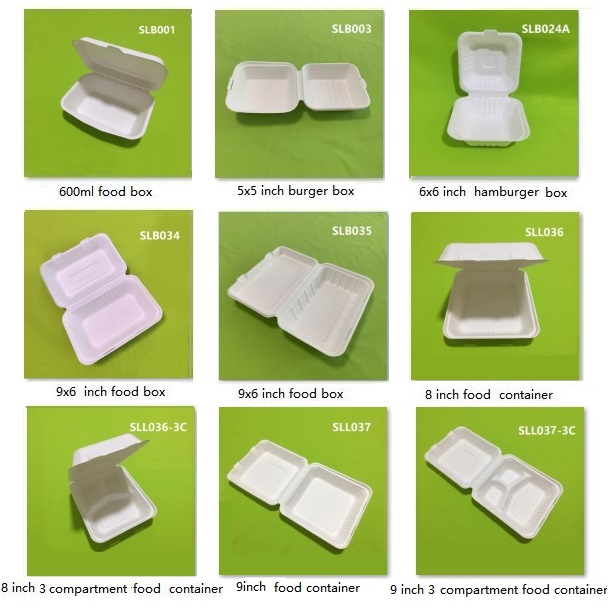 ກ່ອງກະດາດກະດາດ eco bagasse