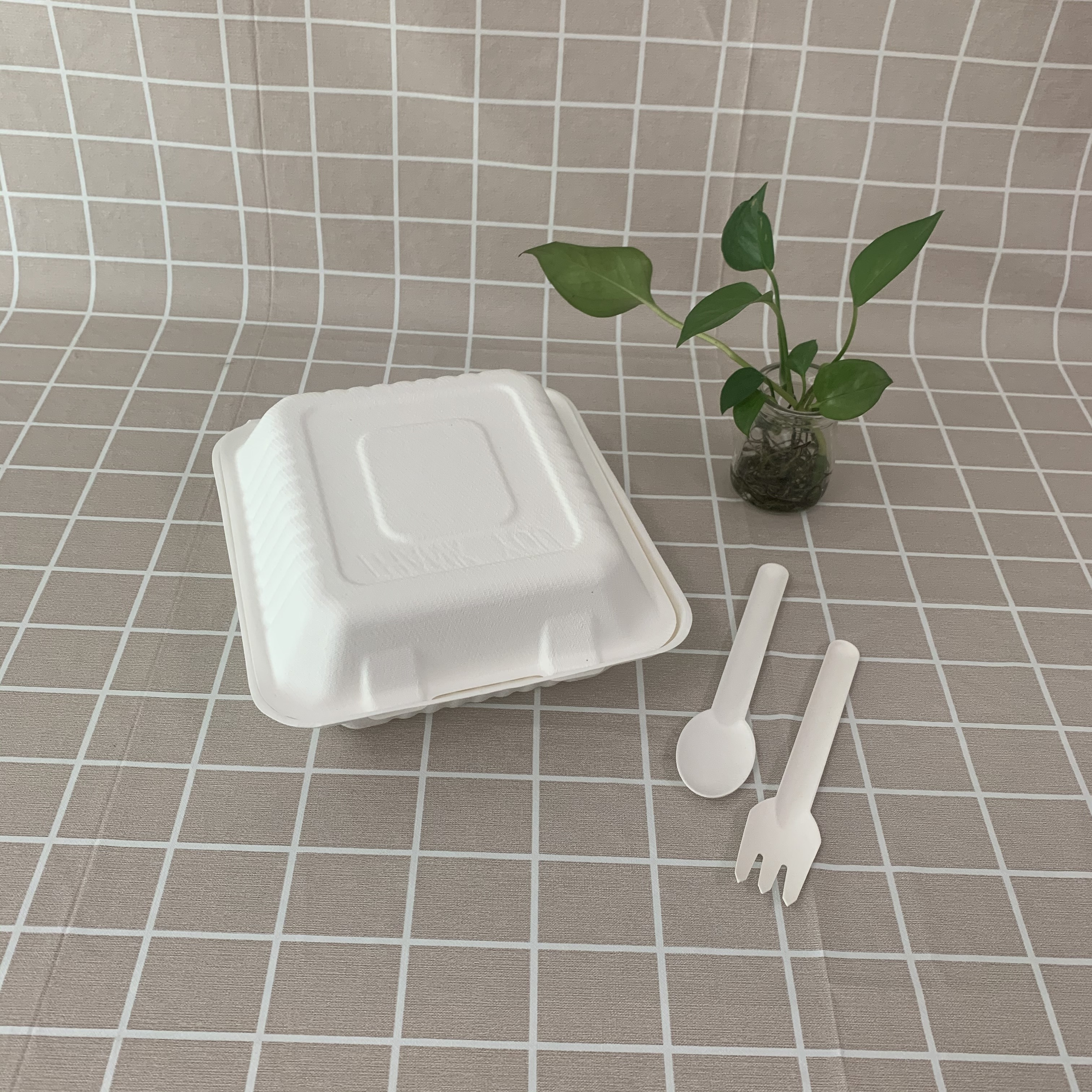 ການໂຫຼດບັນຈຸອາຫານ eco bagasse