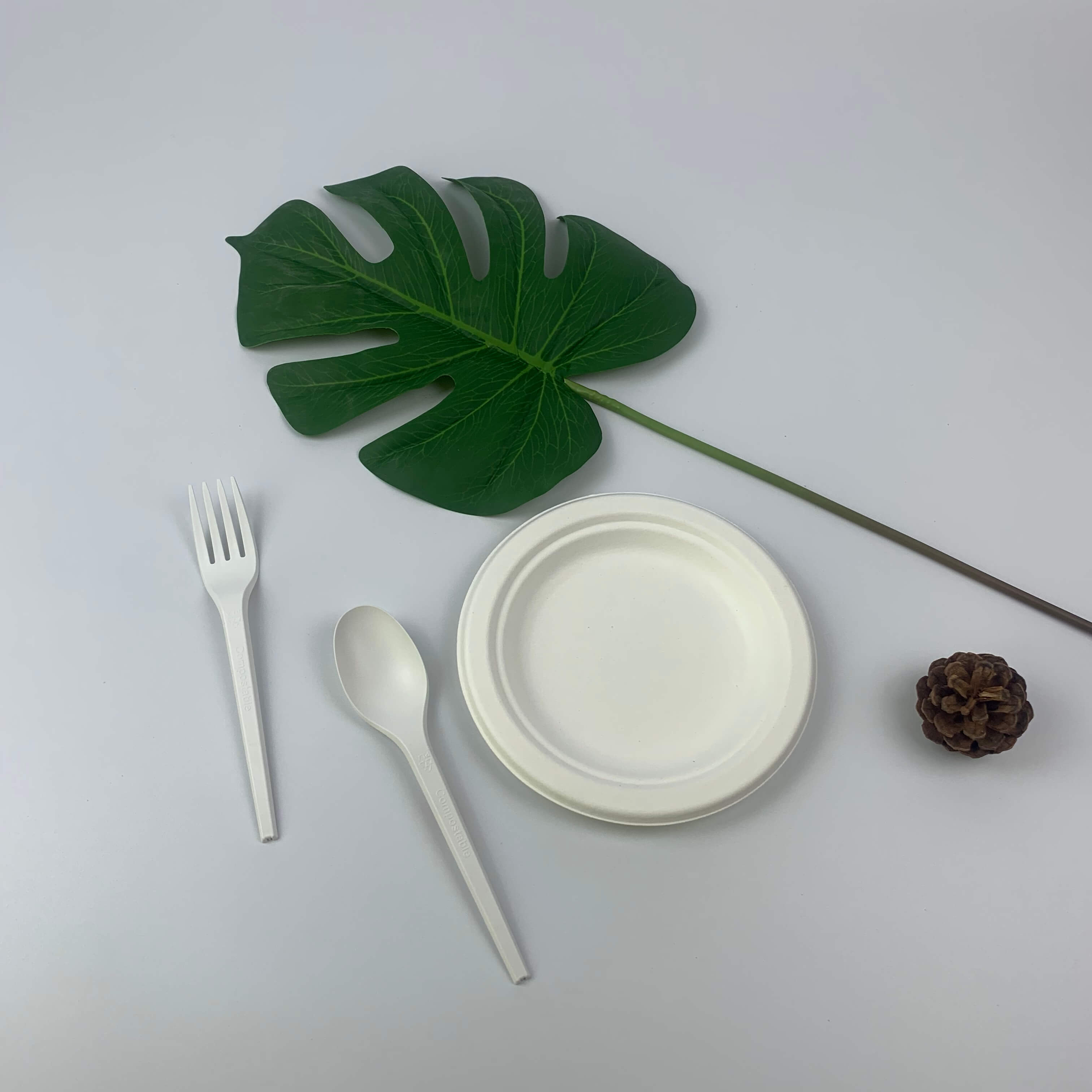 Bagasse ຖືກນໍາໃຊ້ເປັນວັດສະດຸທີ່ເປັນມິດກັບສິ່ງແວດລ້ອມ