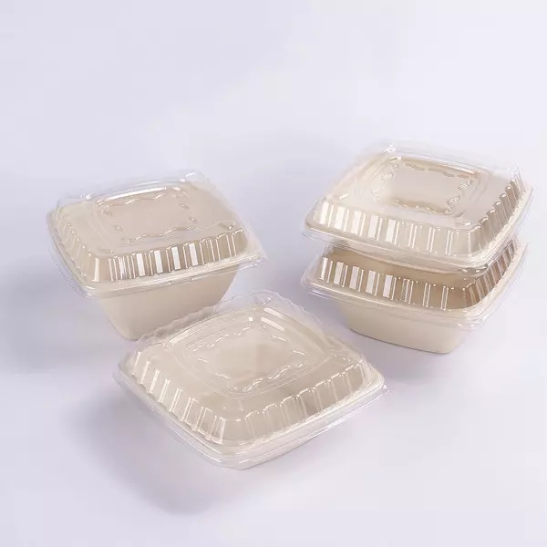 Bagasse ໂຖປັດສະວະ