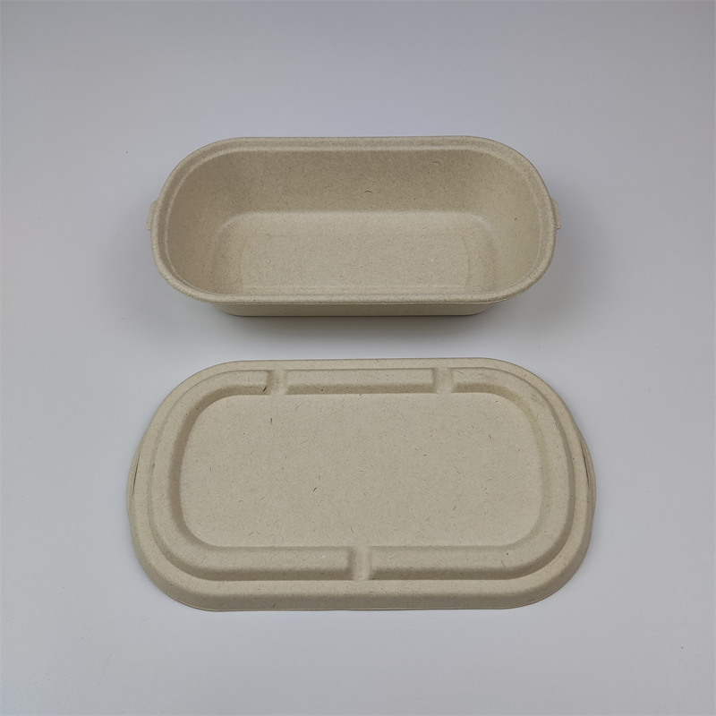 ການຫຸ້ມຫໍ່ Bagasse