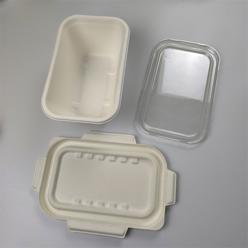 1000 ml ຕູ້ຄອນເທນເນີ Bagasse Rectangular