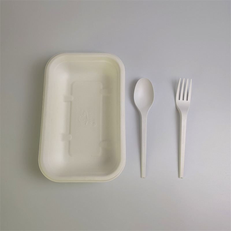 Sugarcane 500/650/750ml To Go Food Container with Buckle Lid
